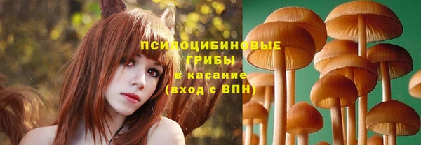 гидропоника Ельня