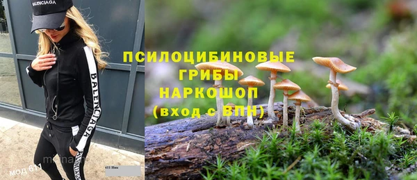 ешки Елизово