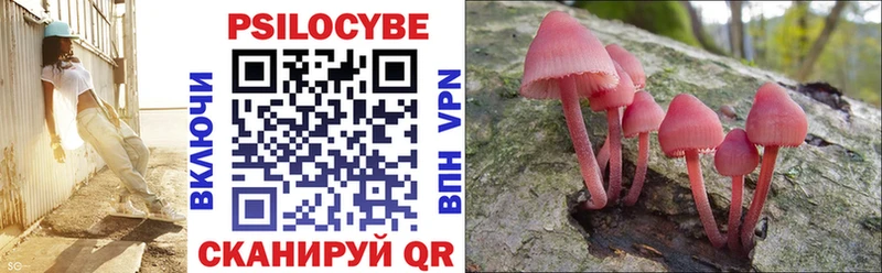 Псилоцибиновые грибы мицелий  Купить где  Усть-Кут 
